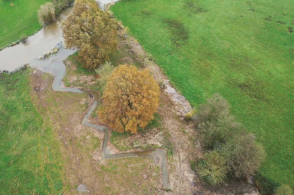 Ruisseau de la Roche après les travaux