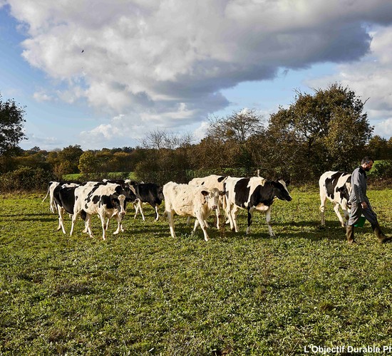 Transmission d'exploitation agricole