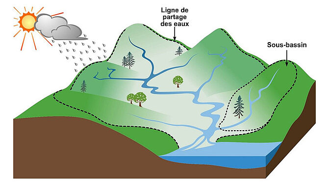 Schéma d'un bassin versant