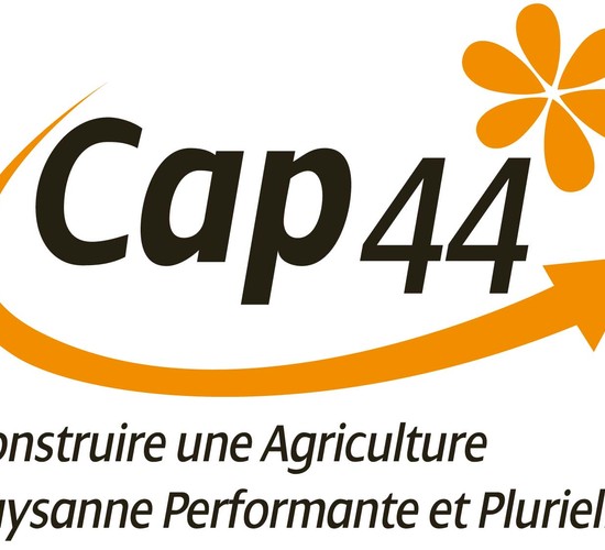 Logo Cap 44