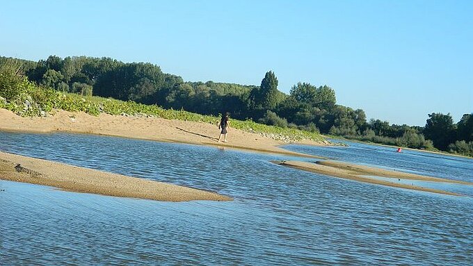 Les bords de Loire à Anetz