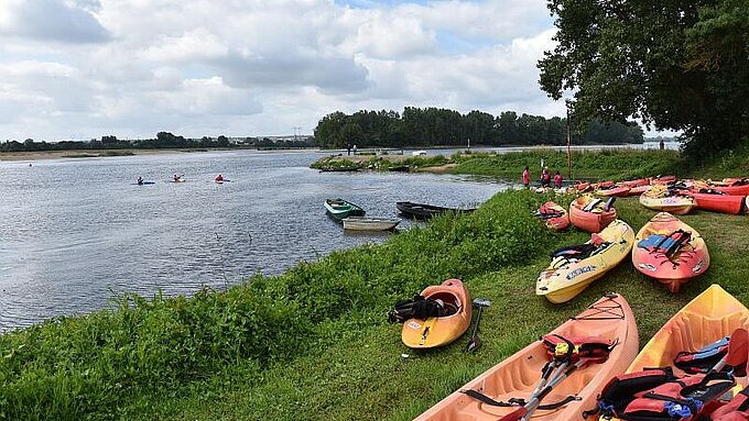 Bords de Loire à Montrelais