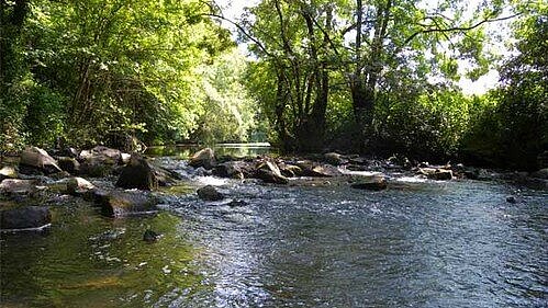 L'Erdre