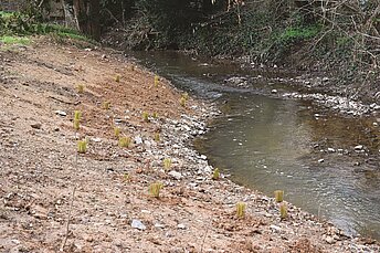 Un cours d'eau aménagé