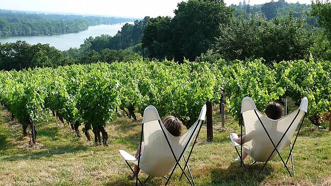 Domaine des Génaudières - Le Cellier