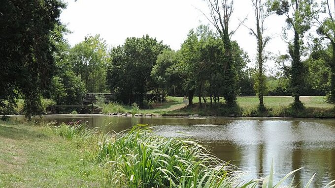 Plan d'eau de Trans-sur-Erdre