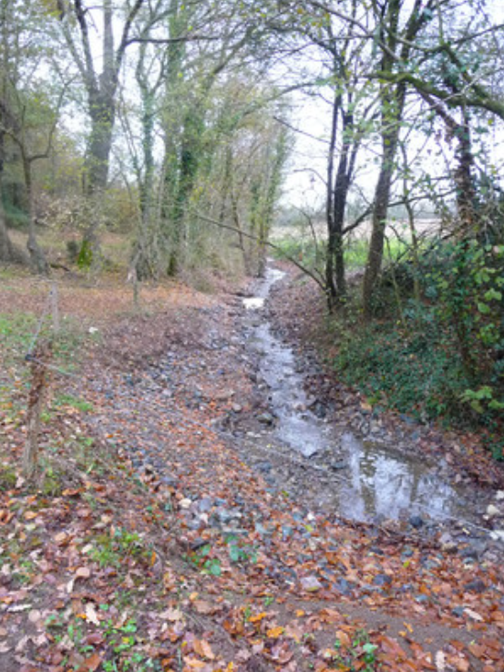 Ruisseau du Bourg après travaux