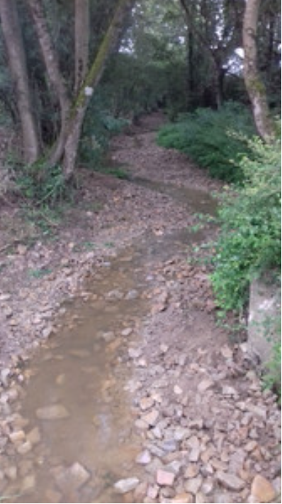 Ruisseau du Montagne après travaux