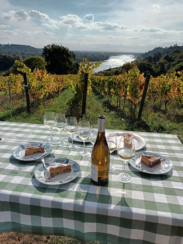 Vue sur la vallée de la Loire depuis les coteaux