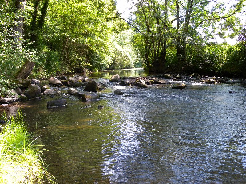 L'Erdre